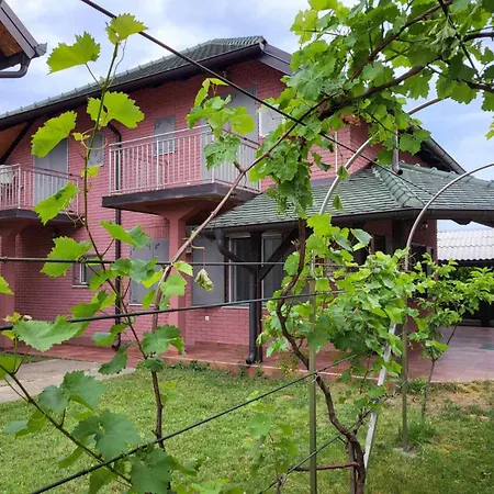 Apartment Tina - Srebrno Jezero